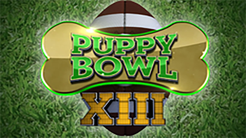 Puppy Bowl XIII