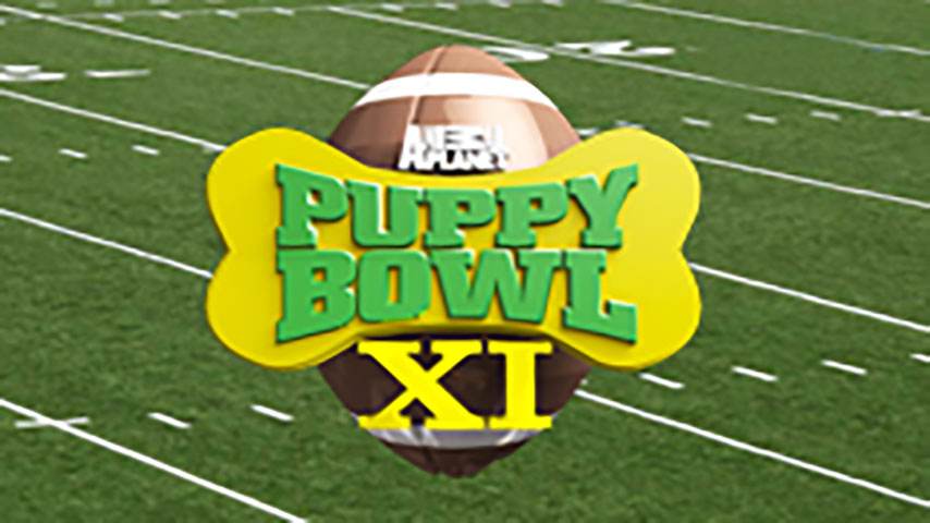 Puppy Bowl XI
