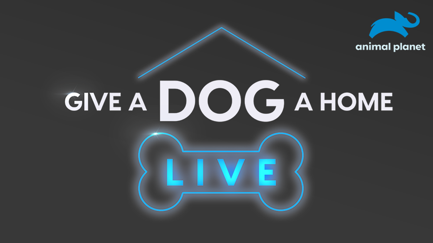 Give a Dog a Home: Live!