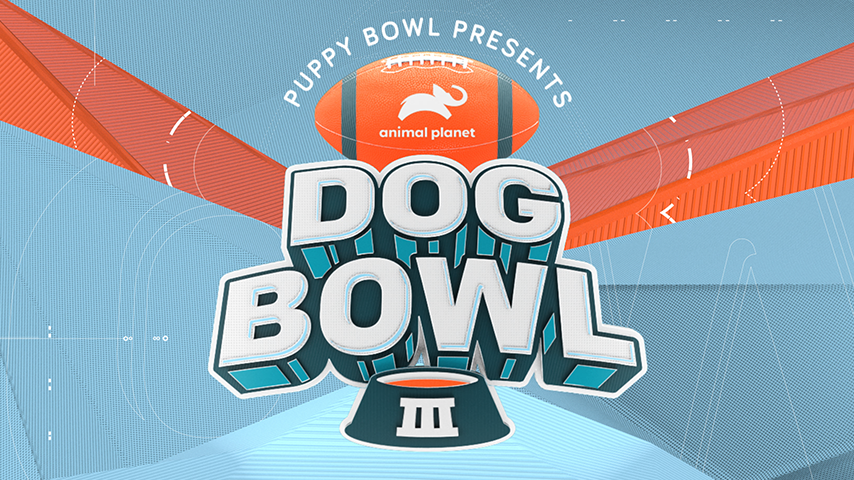 Dog Bowl III
